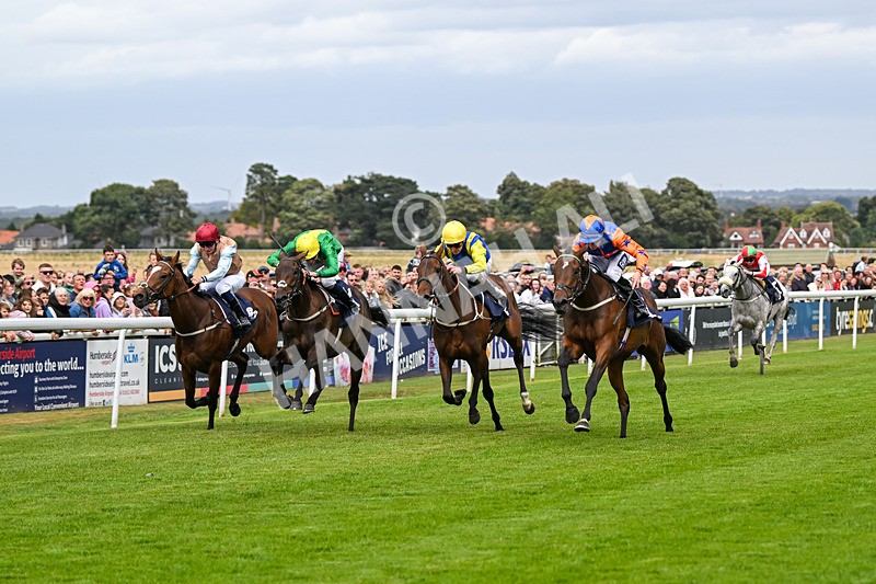 250824-Race 3-Blueandtangerine-3232 - Race 3