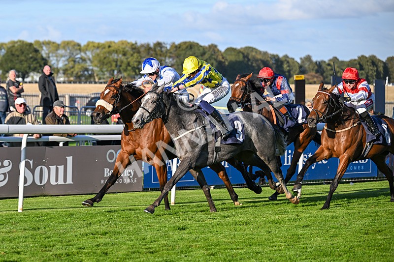 230925-Race 7-Hill O Rue-2467 - Race 7