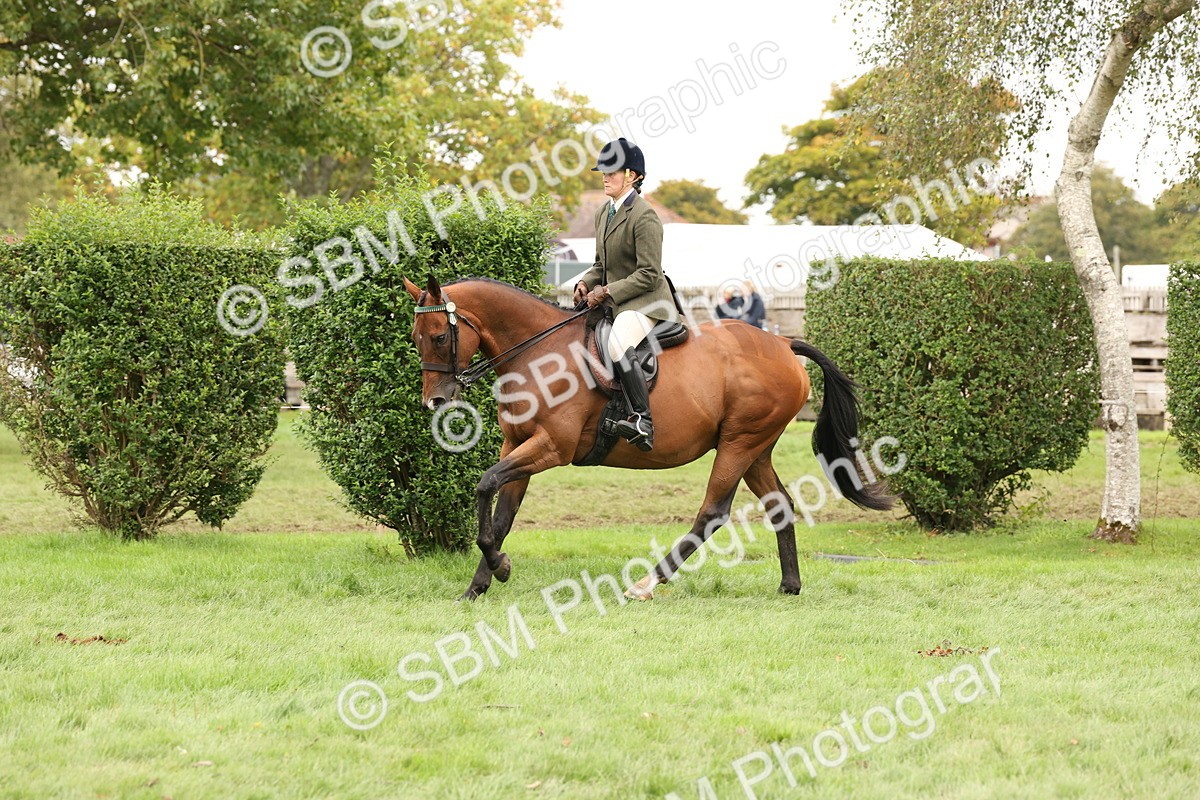 SBM_64262 - S65 - Riding Horse & Hack & Thoroughbred Ridden