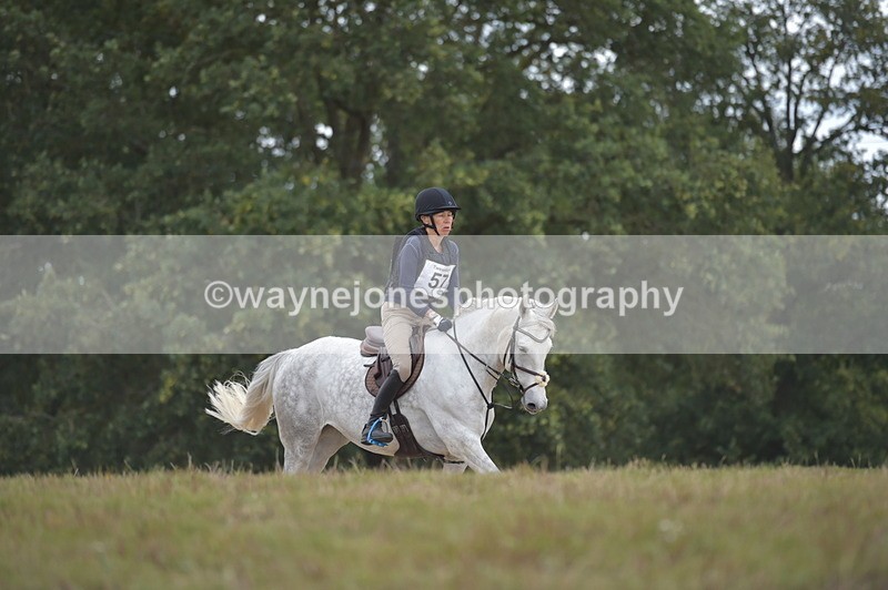 NGP_2214 - XC Time 11:20 to 11:36