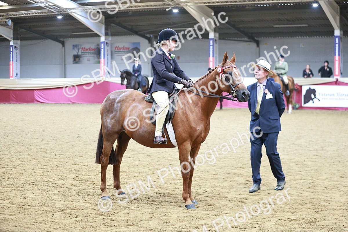 SBM_03446 - Class 6A Area Ridden Pre-Vet