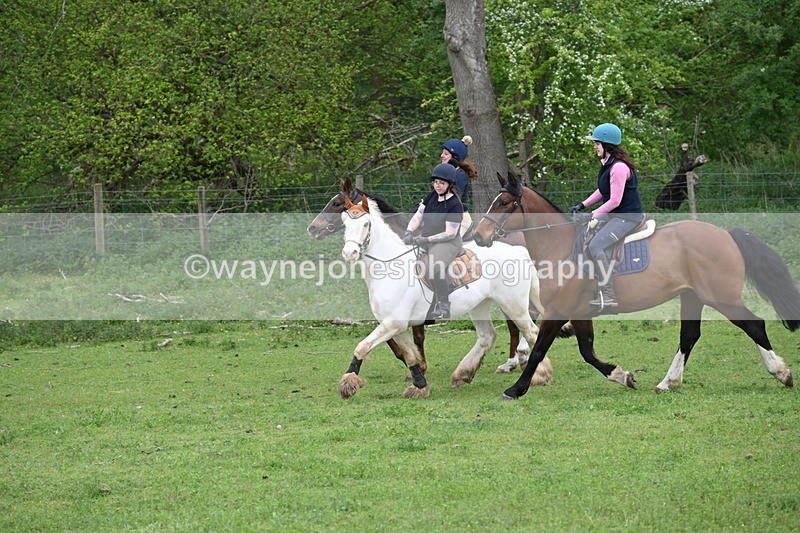 WJ6_3135 - A camera