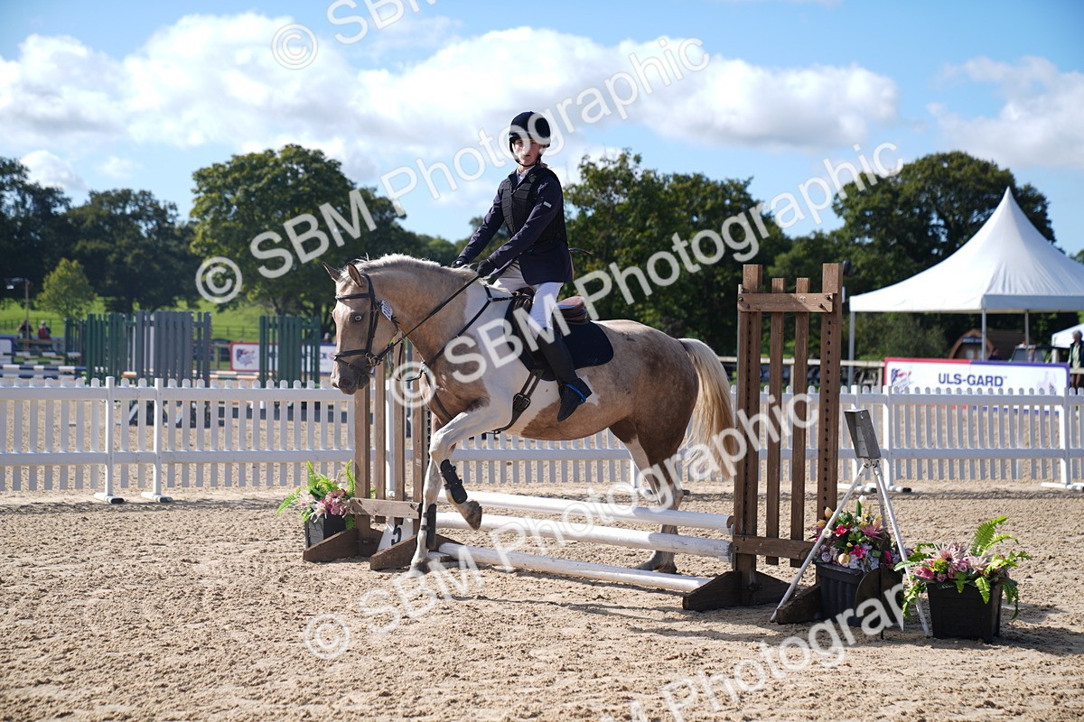 SBM_02388 - J54 Clear Round 45cm