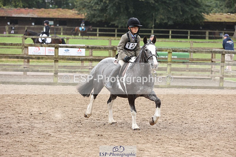 240822X-085340-00192 - 40cm R1 8.30 to 9.30