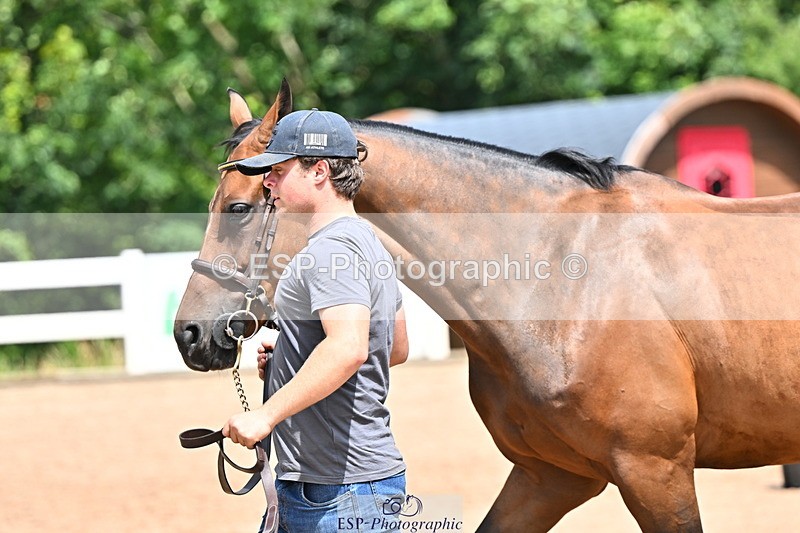 240718A-105303-01498 - Trot Up 12pm to 1pm