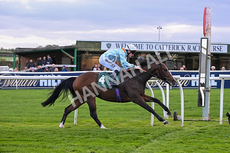 171026-Race 7-Lexington Blitz-6418 - Race 7 4.45pm William Hill Catterick Dash Handicap
