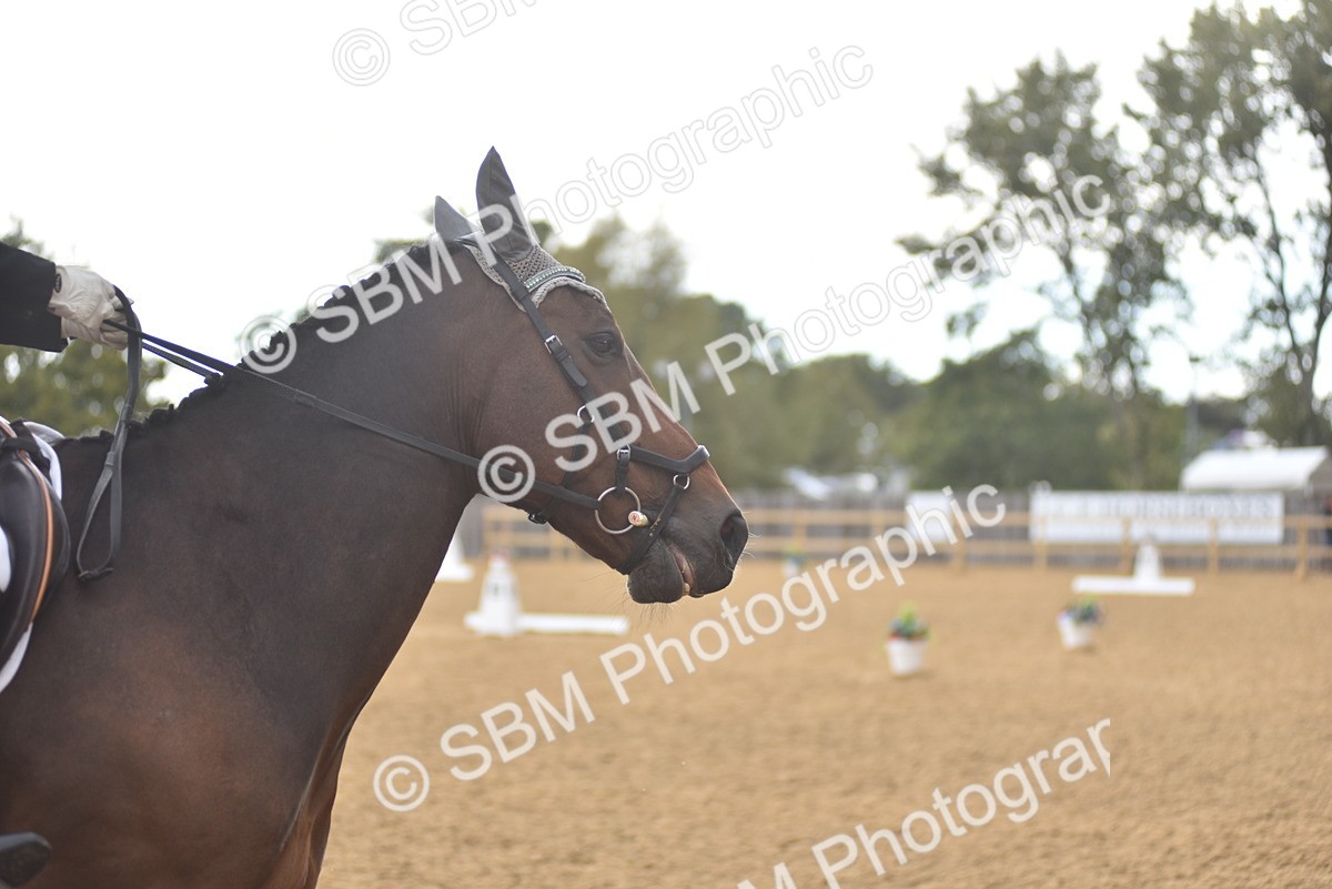 SBM_38741 - D14 - Grand Tour Championship Prelim 2