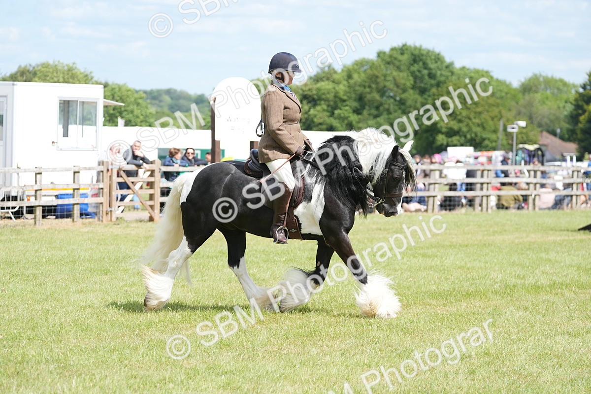 SBM_17276 - Class 107-108 - LIHS BSPS Performance Coloured Horse Pony