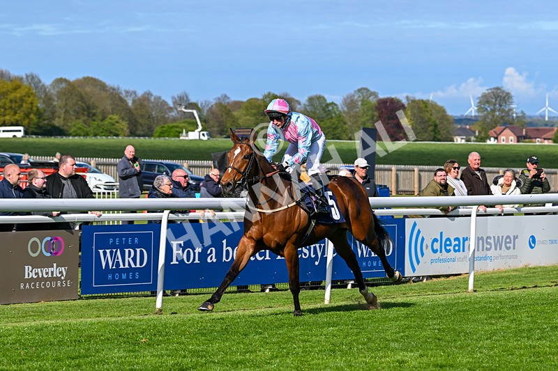 240425-Race 6-Alfie Boy-1664 - Race 6