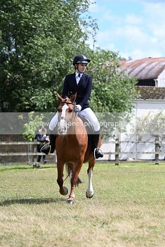 WJ7_0076 - Class 8 Ridden Veterans