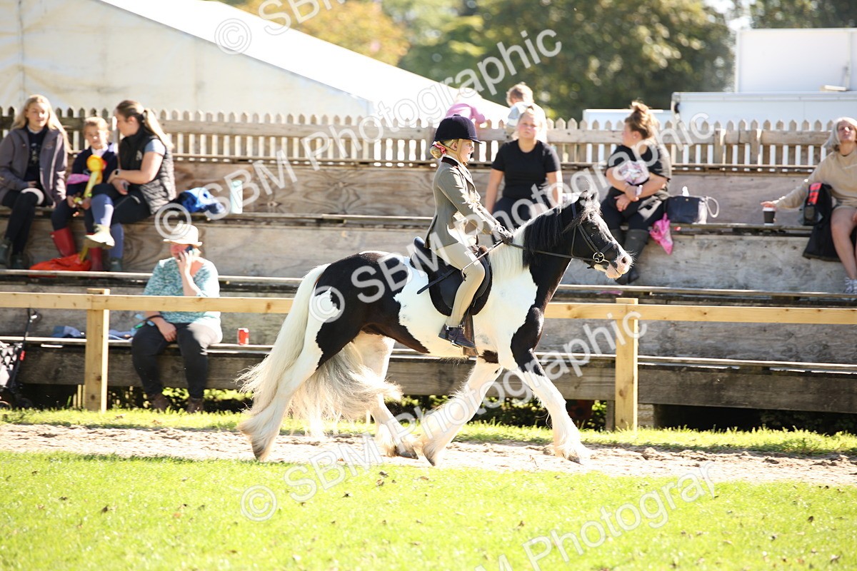 SBM_38990 - S11 - Best Ridden Horse & Pony