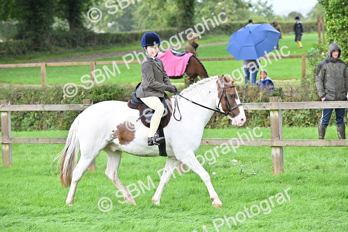SBM_43042 - S12 - Family Horse & Pony