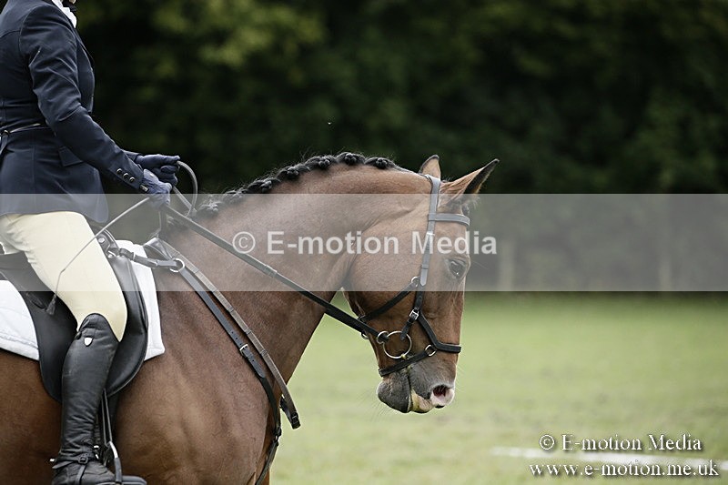 BVR080918 318 - BVRC Novice Dressage & CR 08/09/18