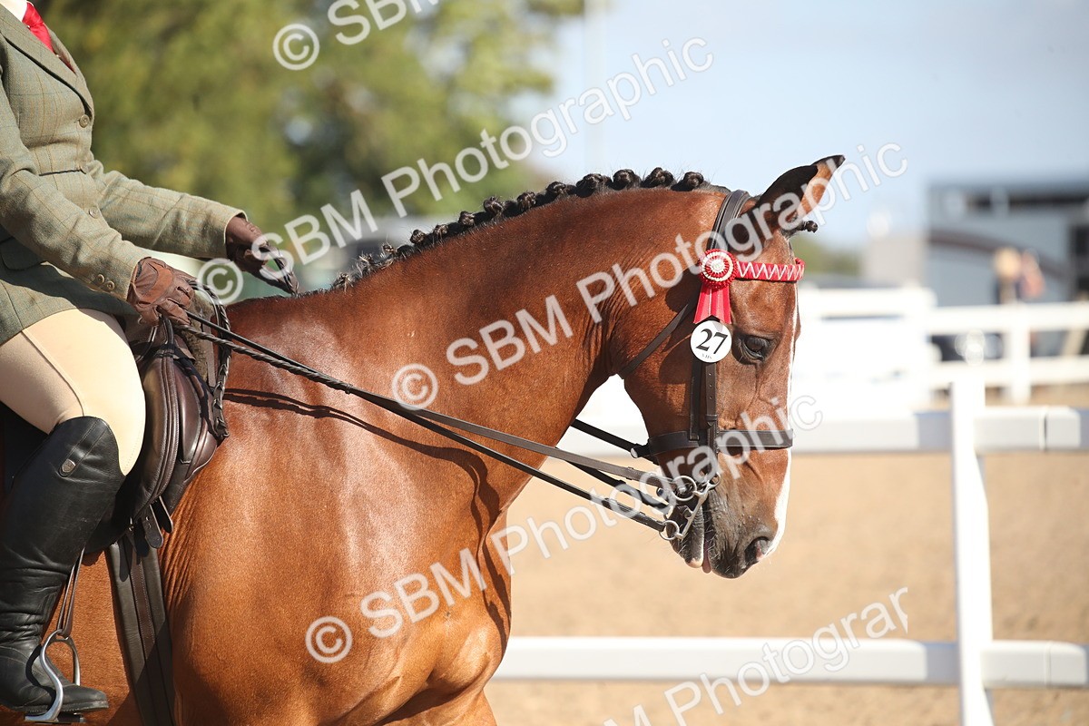 SBM_22707 - Class 601 - 2026 - Area - Ridden Diamond