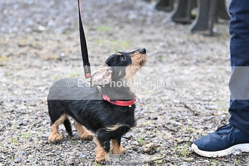 241206-144244-01133 - Naomi