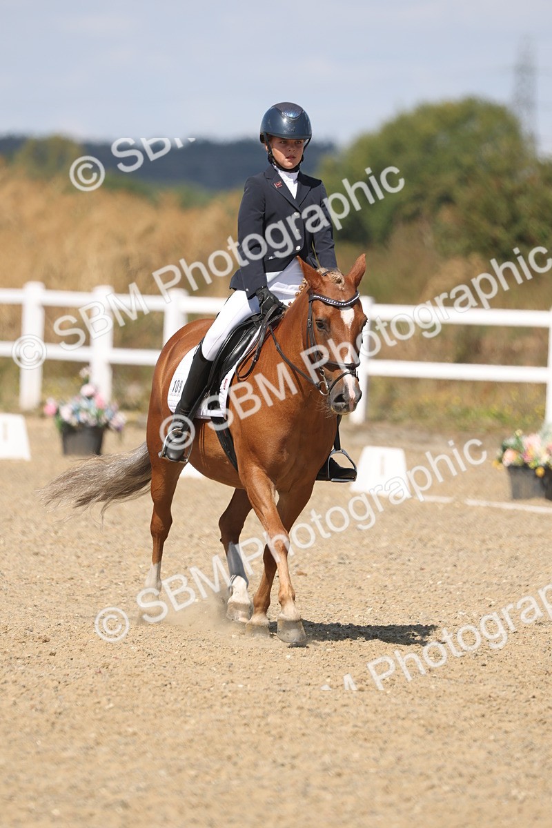 SBM_013748 - Class 1 - P5 Bronze 10.38.12.02