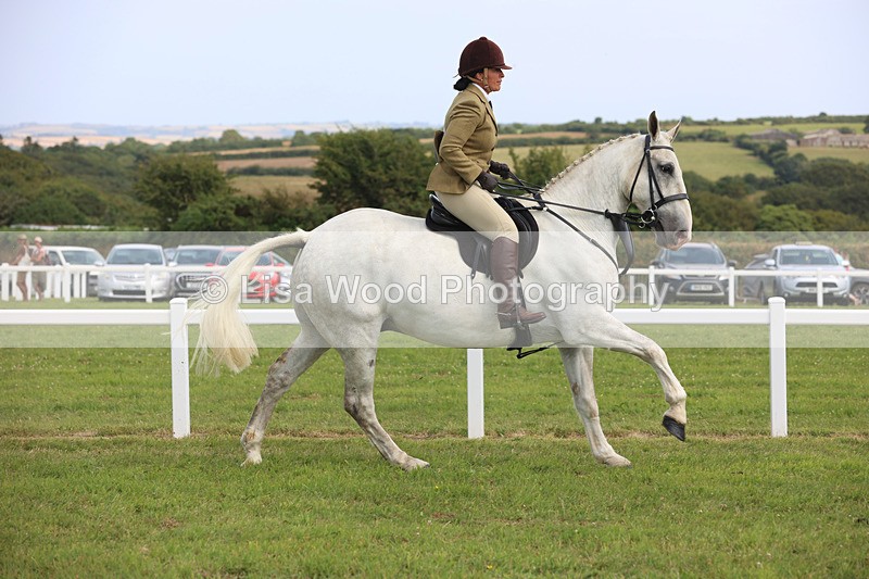 JPP_3855 - Class 23: Working Hunter 80cm