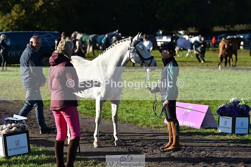 231022-095538-22117 - 480-REDPARK.SAMMEY-Eliza.Peters-TrotUp+SJ