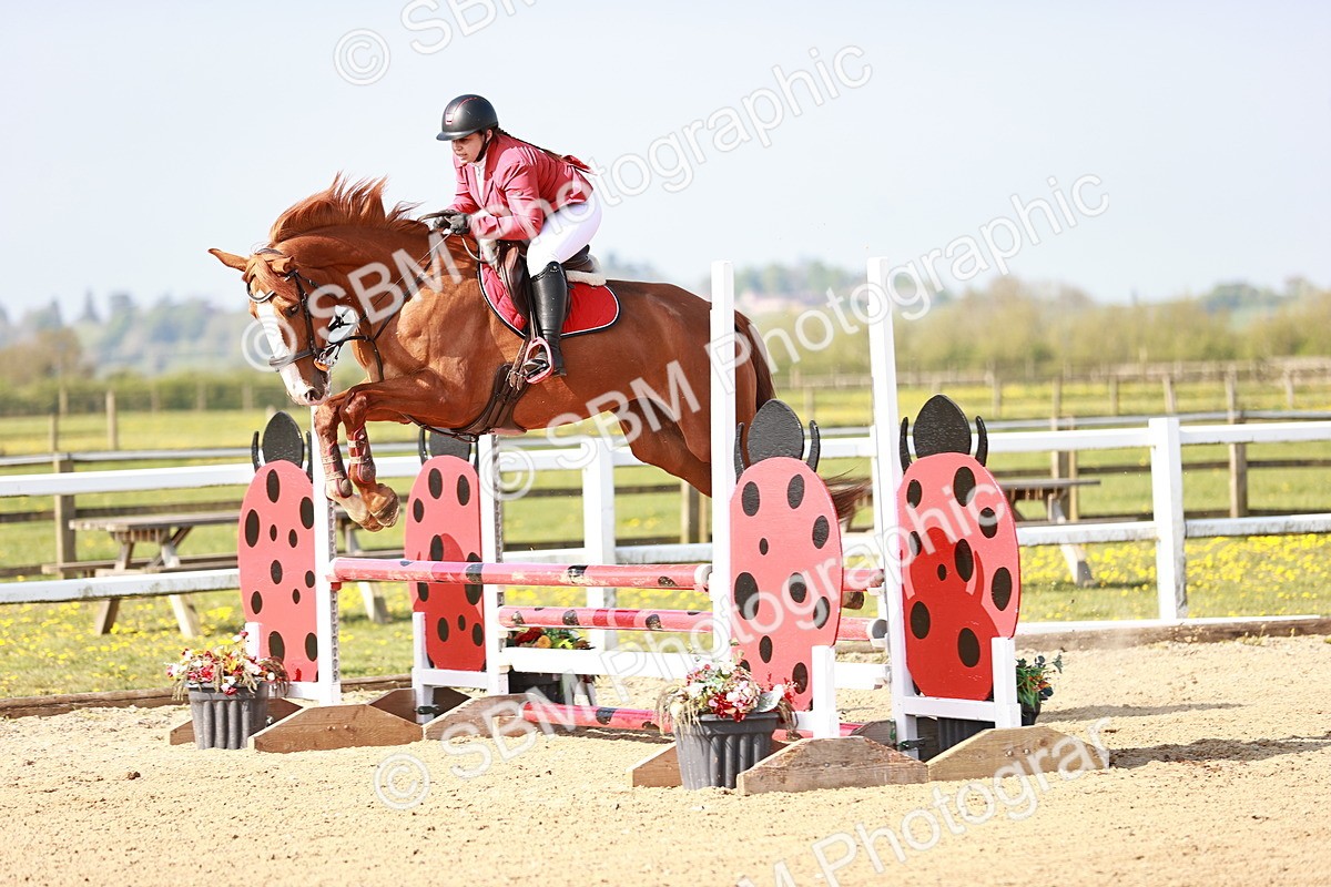  - Class 21 - Senior British Novice - 90cm