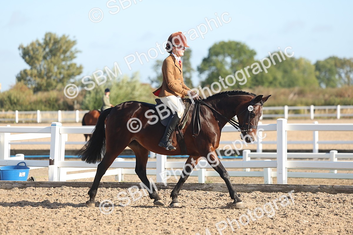 SBM_22107 - Class 801 - Ridden Veterans