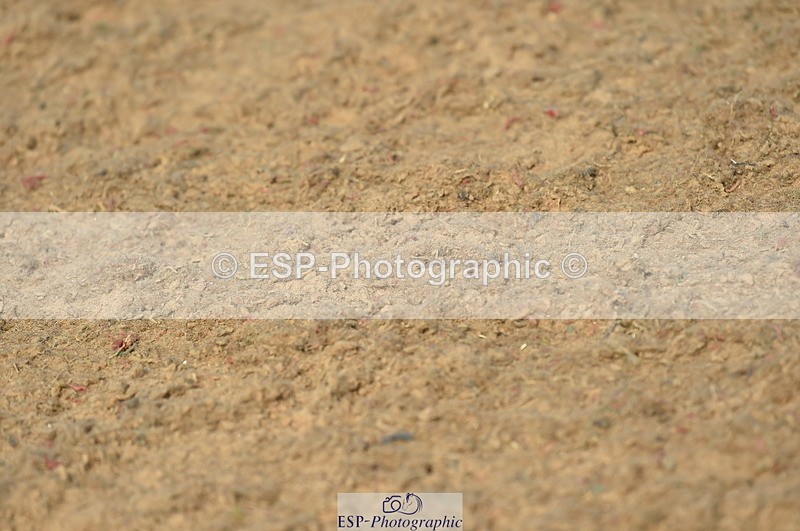 230409A-104040-00377 - 80cm Round 1