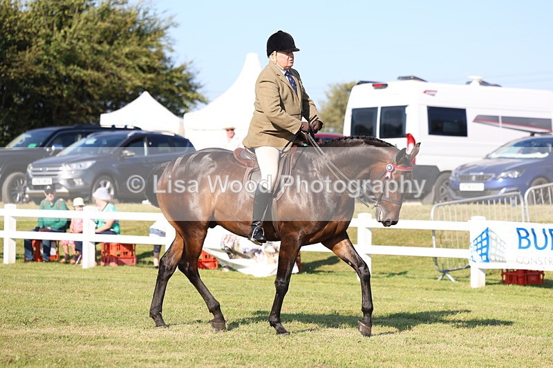 3E7A5284 - Class 2: Rising Star Large Hack/Riding Horse