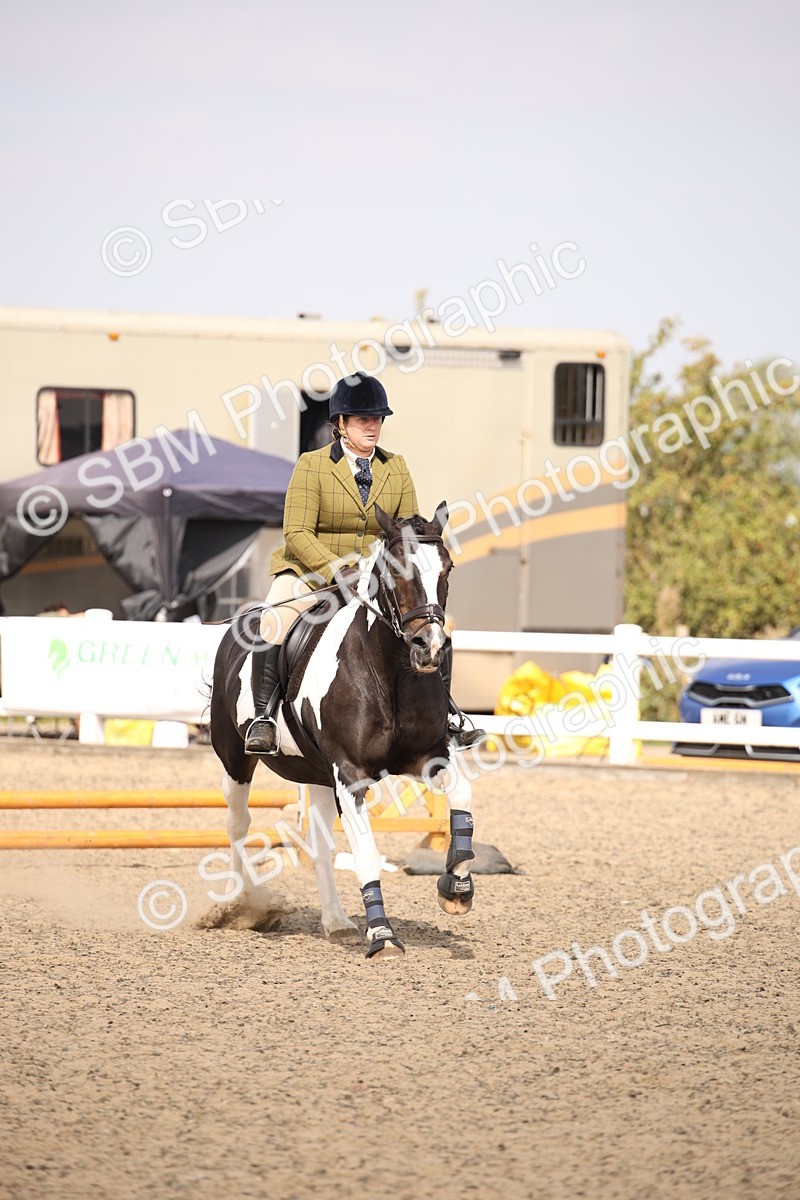 SBM_13607 - Class 406b - Working Veteran 50cm (20+)