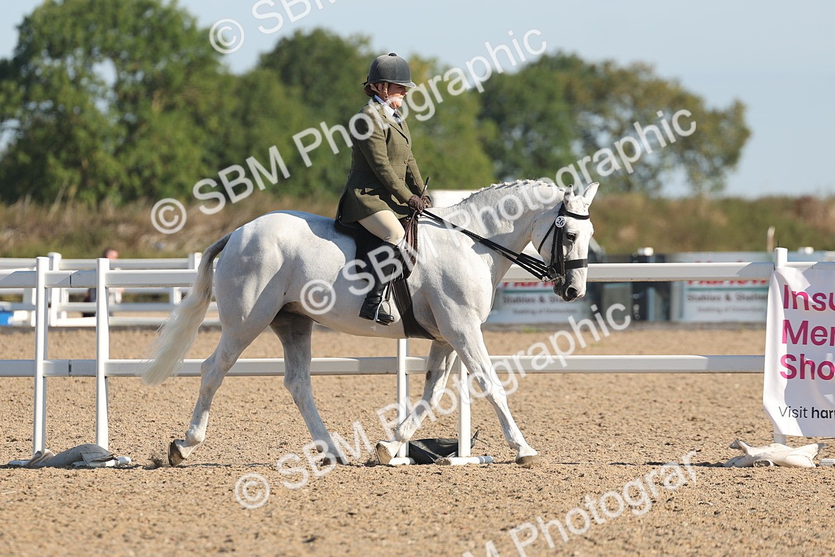 SBM_12205 - Class 303 - Ridden Pure Bred Horse Pony