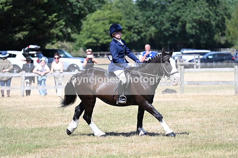 WJ7_3736 - Class 8 Ridden Veterans