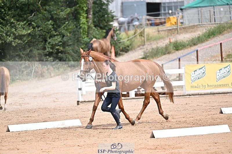 250716-132120-00457 - Trot Up 12.30 to 1.30