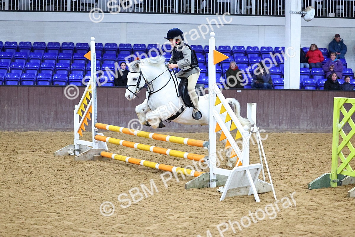 SBM_001437 - Class 3 - Christmas Tree Stakes - 60cm