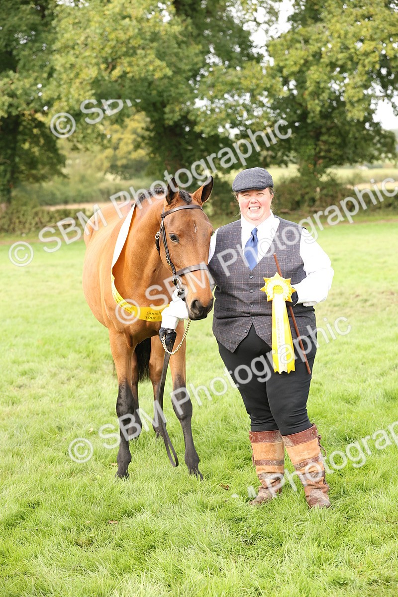 SBM_56279 - S55 - Other Coloured Horse In Hand