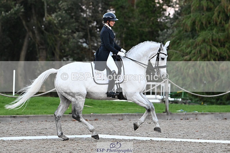 231110-162917-02637 - Cls 14 FEI Grand Prix