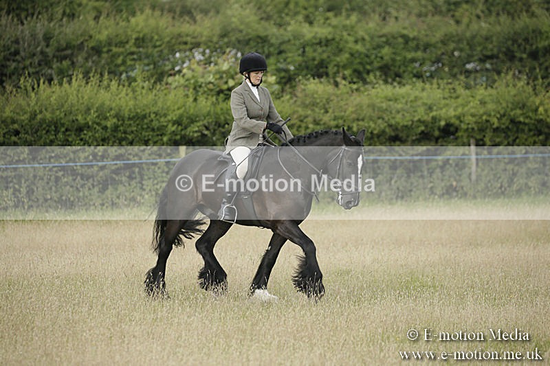B230619-0170 - Bourne Valley Riding Club Summer Show 23/06/19