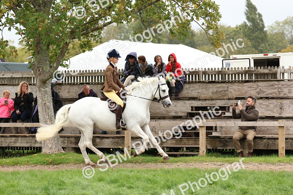 SBM_69587 - S62 - Mountain & Moorland Ridden Large Breeds