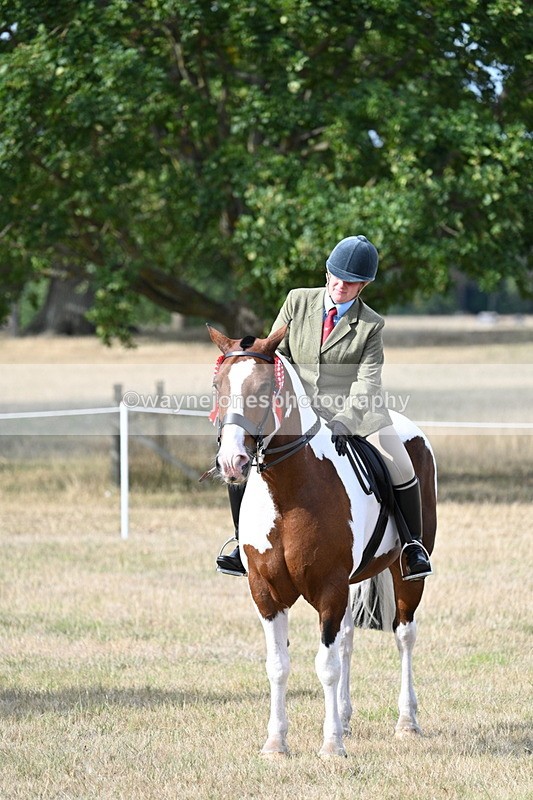 WJ7_7859 - Ridden Championship