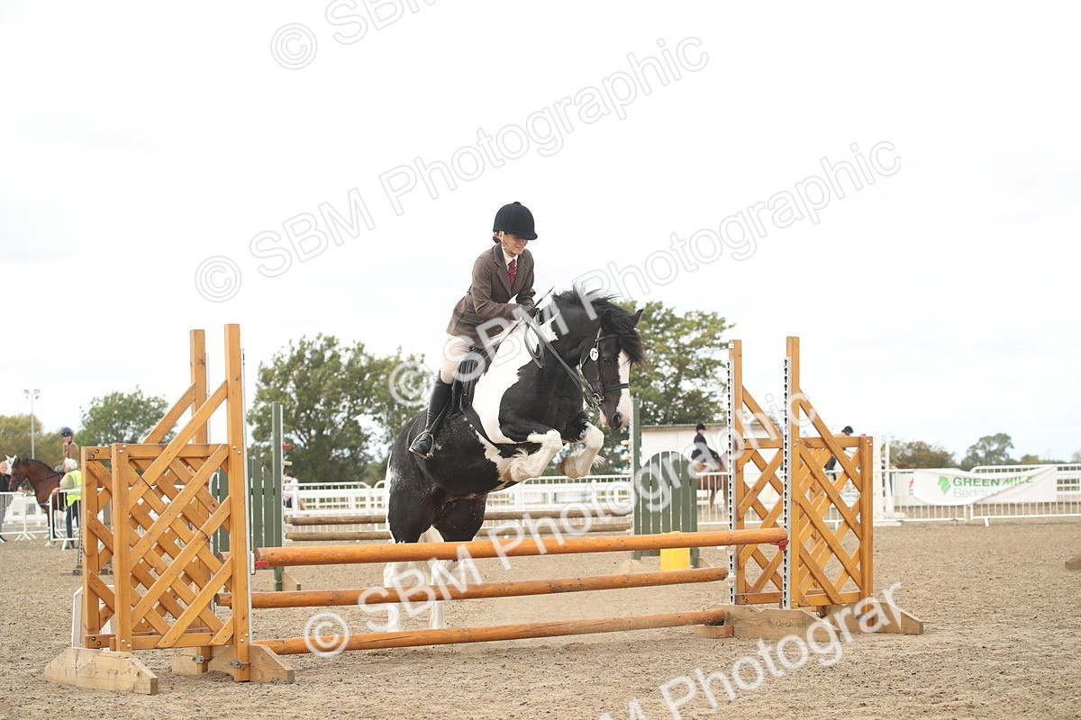 SBM_17628 - Class 508a - Working Veteran 70cm (15-19)