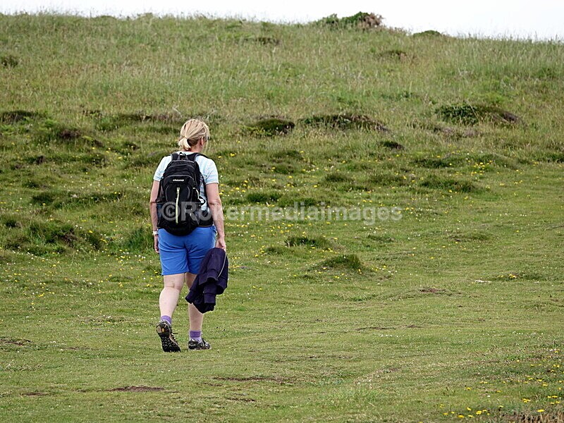 DSC00158 - Skomer 2019