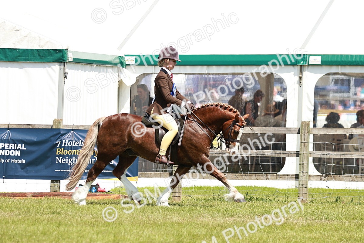 SBM_15829 - Class 108-109 - BSPS LIHS Open Gradle & Nursery Stakes