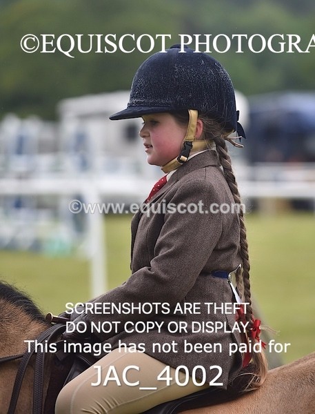 JAC_4002 - 40CM WORKING HUNTER