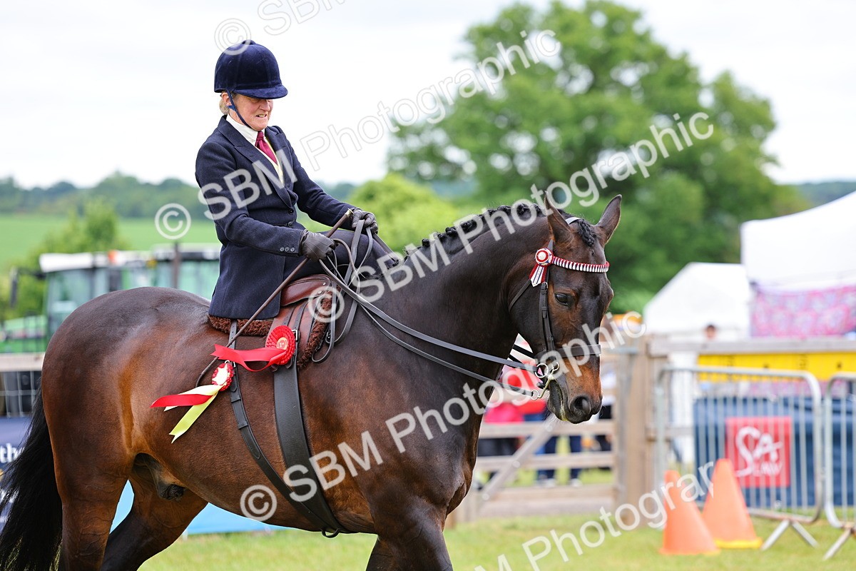 SBM_02857 - Class 9-11 Side Saddle including LIHS Rising Star Ladies Show Horse