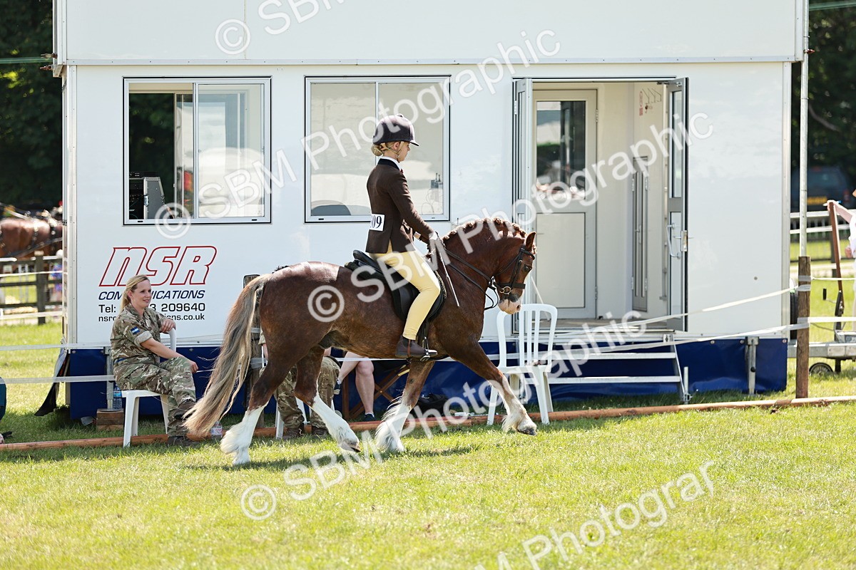 SBM_15773 - Class 108-109 - BSPS LIHS Open Gradle & Nursery Stakes