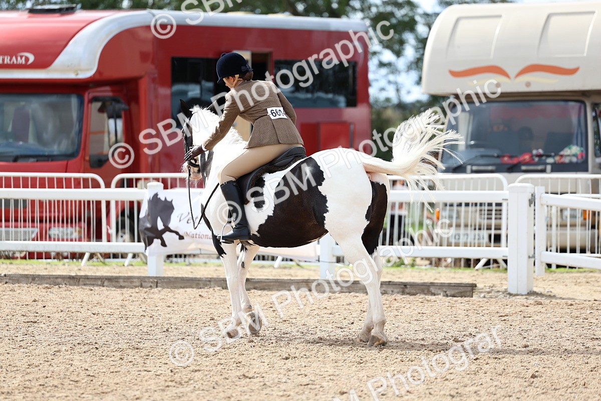 SBM_15853 - Class 314 - Family Horse - Pony
