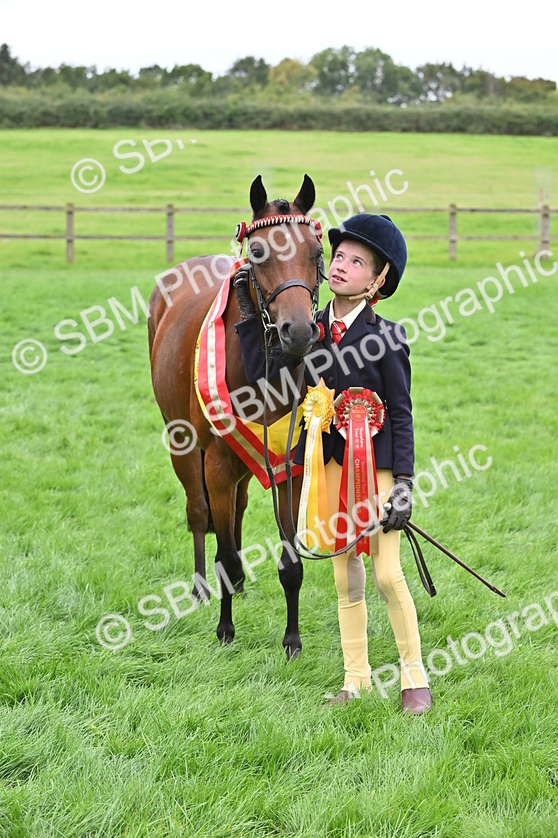 SBM_65020 - In Hand Pony & Younstock Supreme Championship