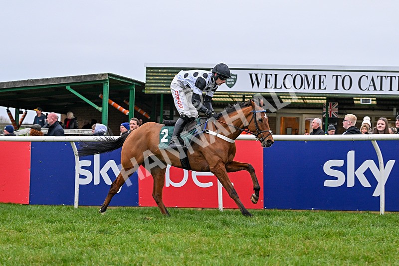 281225-Race 3-Supreme George-0437 - Race 3