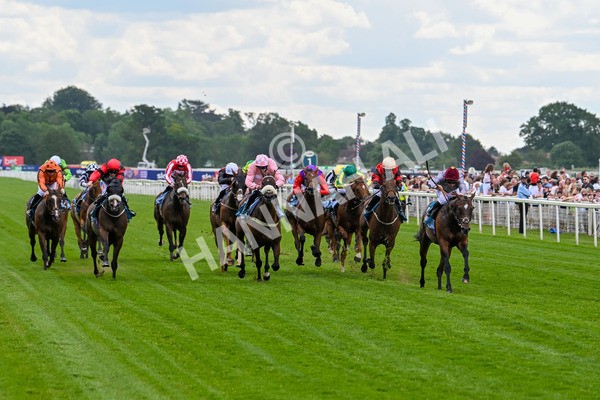 140625-Race 1-Humam-1913 - Race 1 1.50pm Doug Johnston Memorial Ubettabelieveit Macmillan Handicap
