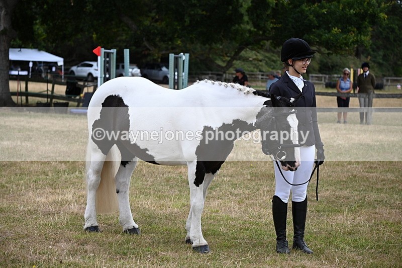 WJ6_4237 - Class 10 Coloured In-hand