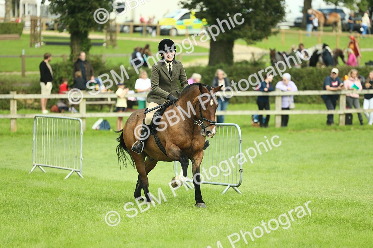 SBM_42256 - S29 - Novice & Newcomers Working Hunter Pony