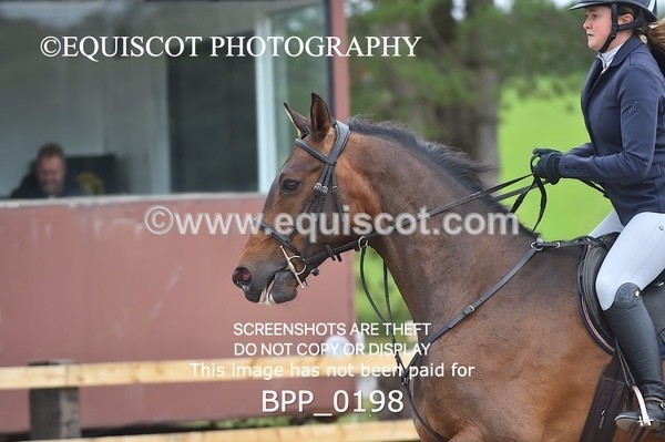 BPP_0198 - CLASS 2 Club/ Unaffiliated 80cms Open