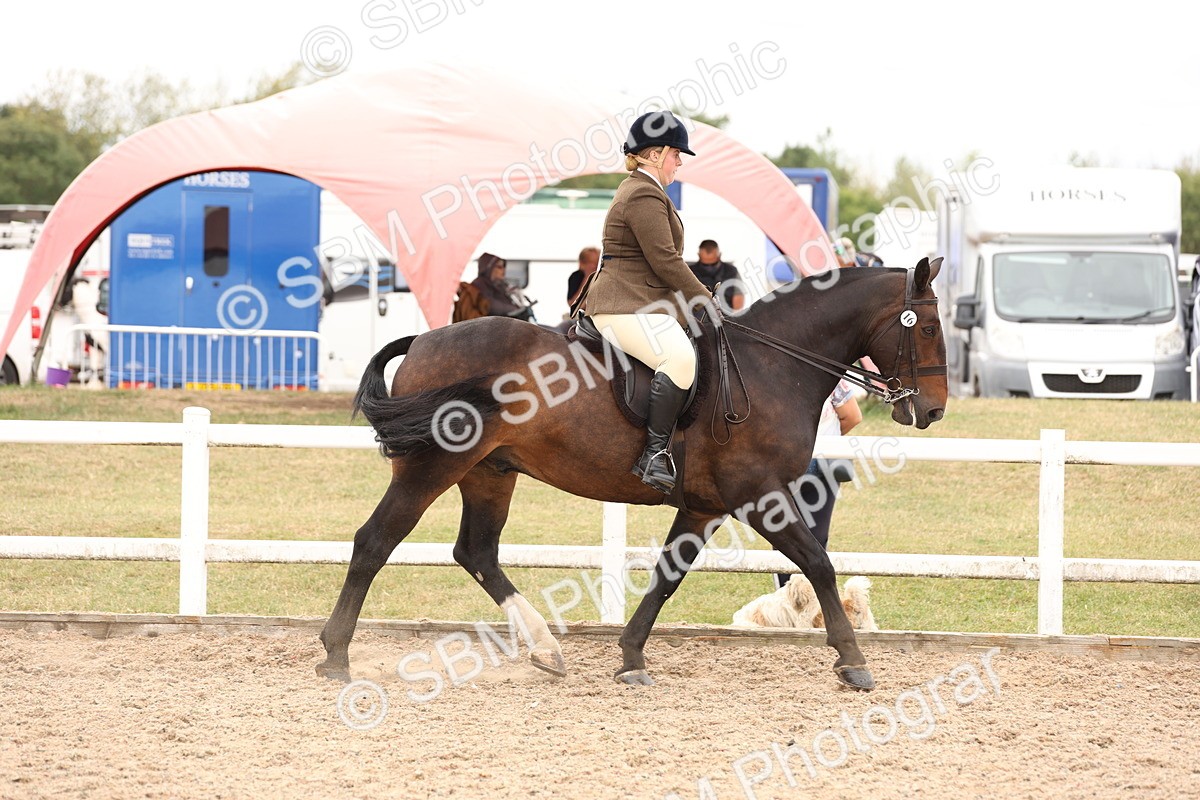 SBM_19492 - Class 215 - Ridden Show cob